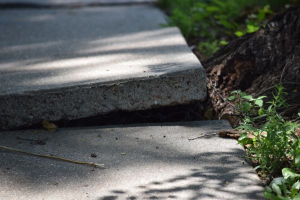 Cost of Sidewalk Leveling in Orlando