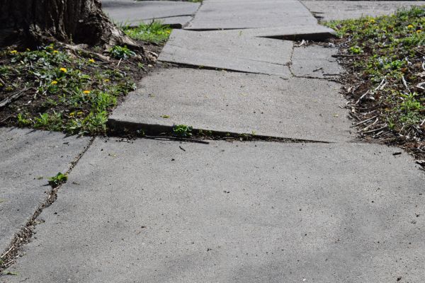 Cost of Sidewalk Raising in Orlando