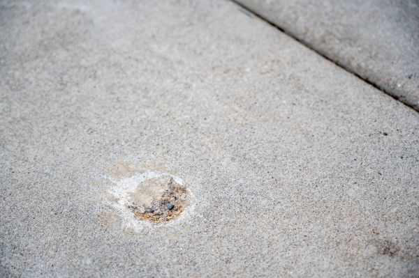 Cost of Pathway Raising in Orlando